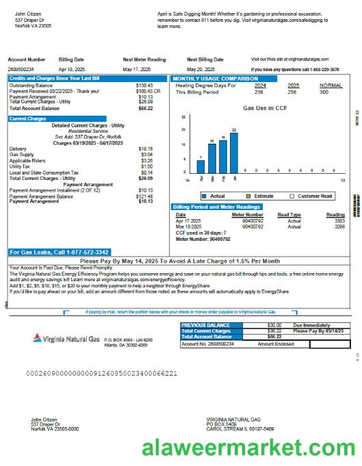 USA Virginia Natural Gas utility bill template in Word and PDF formats